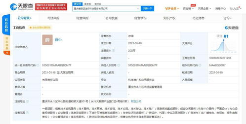 爱奇艺在重庆成立科技公司，拓展创业空间与信息系统集成服务